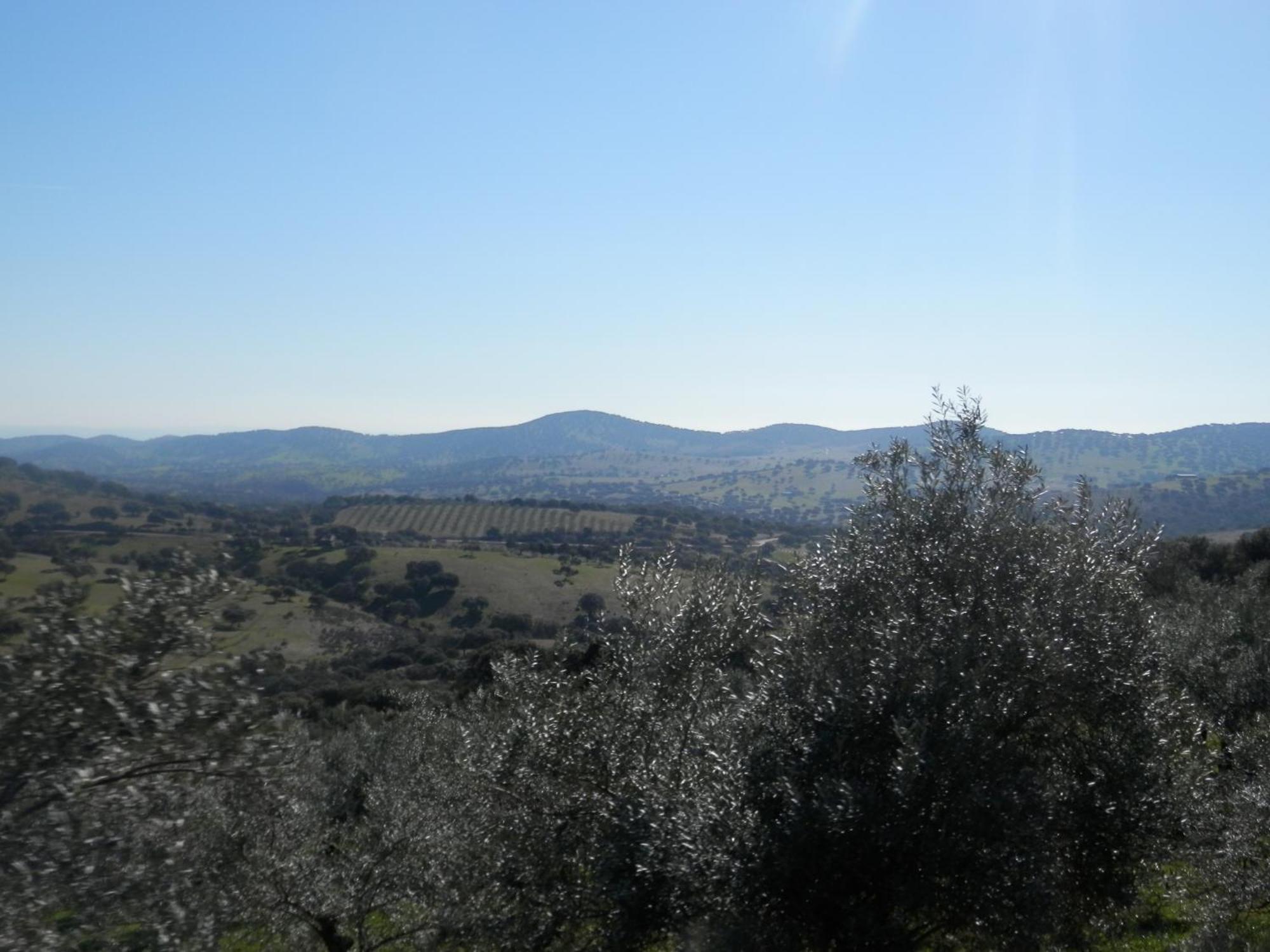 Apartamentos Rurales En Plena Sierra La Calera Екстер'єр фото