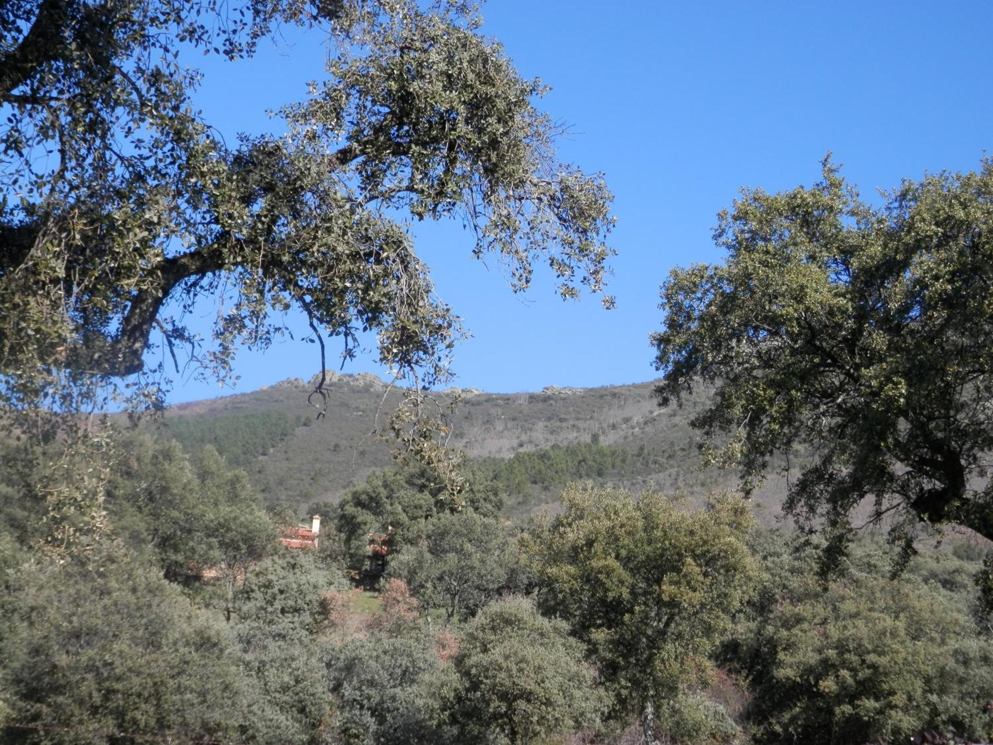 Apartamentos Rurales En Plena Sierra La Calera Екстер'єр фото