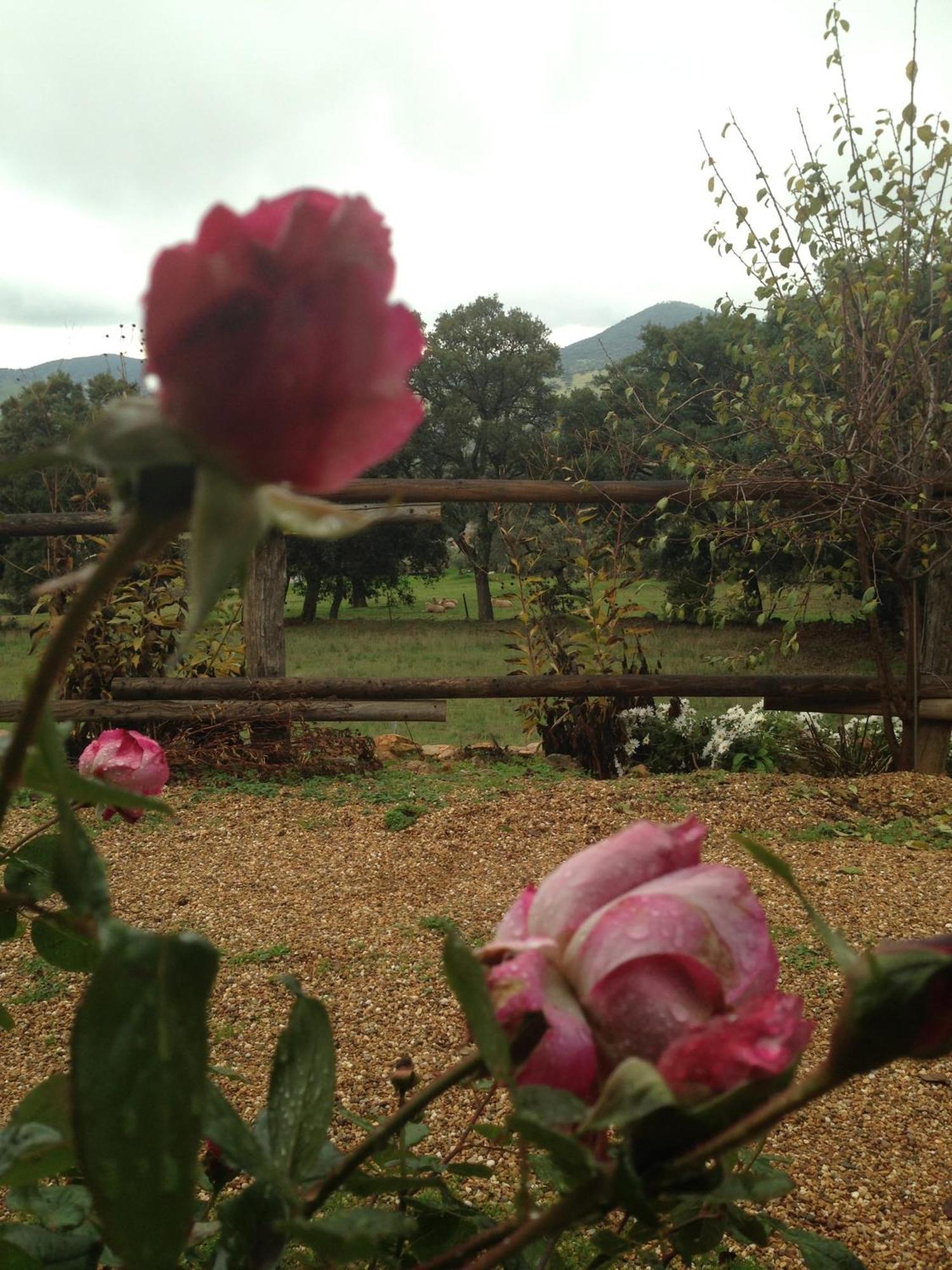 Apartamentos Rurales En Plena Sierra La Calera Екстер'єр фото
